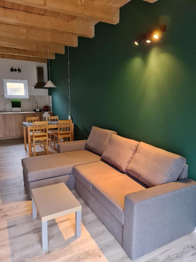 Domki Osada Kalinowa Leba Nowecin Sauna エクステリア 写真